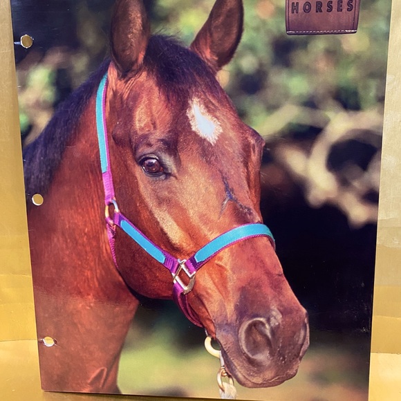 HORSES VINTAGE 90’s PORTFOLIO 3 RING BINDER FOLDERS BUNDLE OF 3 GREAT FOR SCHOOL - Picture 8 of 13
